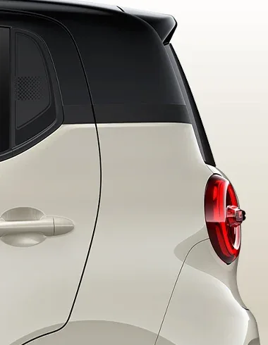 2 Tone Body Color