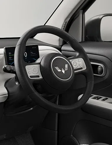 Steering Wheel with Multifunction Switch